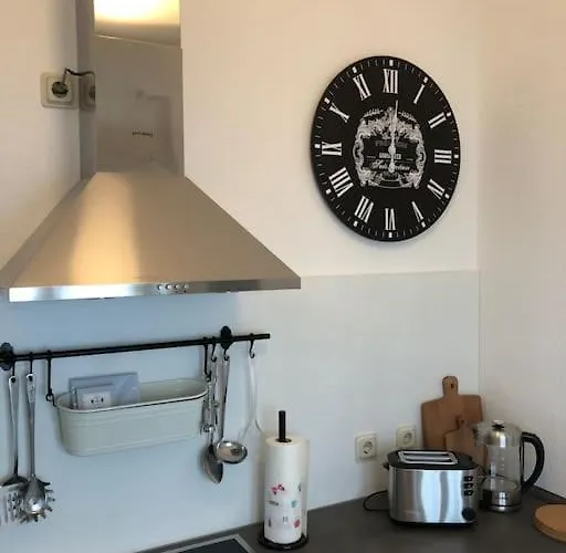 Gruenderzeitwohnung In Beliebter Suedvorstadt Appartement *