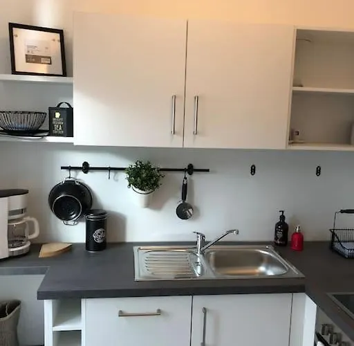 Gruenderzeitwohnung In Beliebter Suedvorstadt Appartement